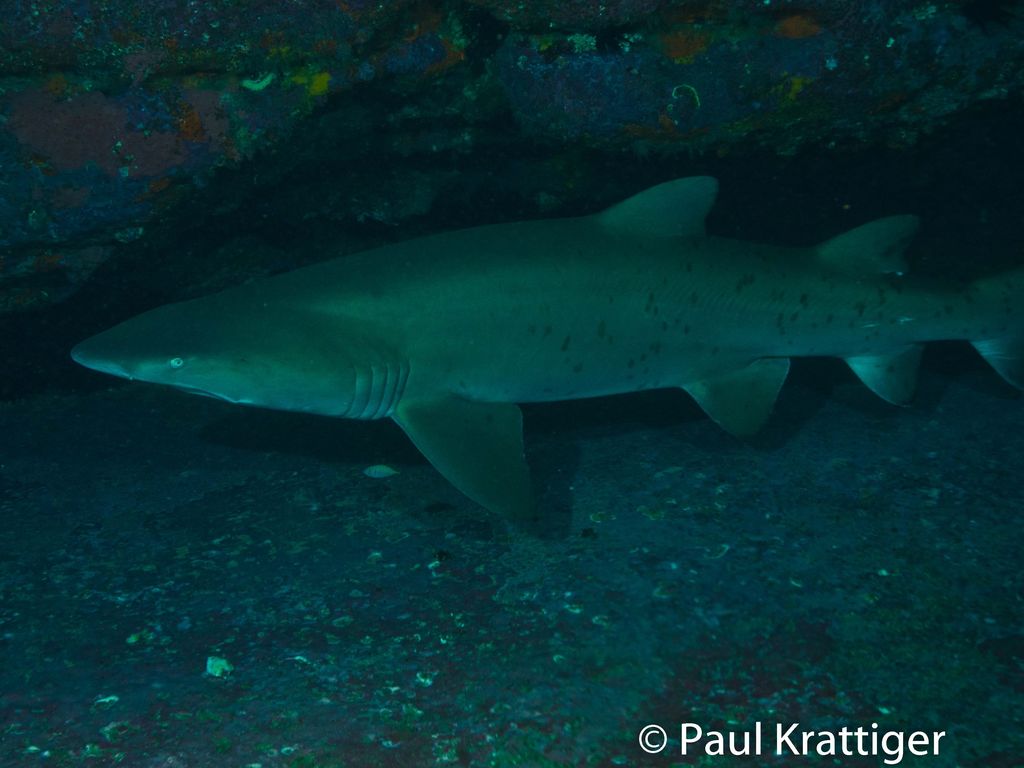 fc872acf-172a-4597-bf97-ba8277a0098d