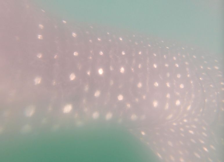 637be410-ce7a-4967-bf77-9af4fca4a77e