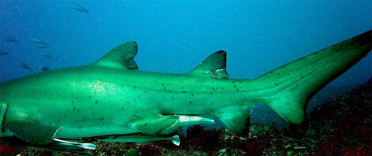 1ff7f3bd-df21-4039-a3ab-cfa077be73f2