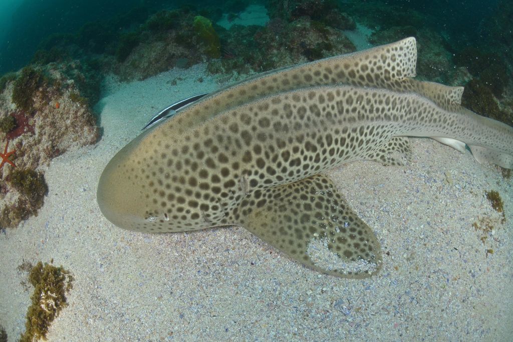 82278b1c-d8d8-44c4-bd4c-a68dfa0543b0