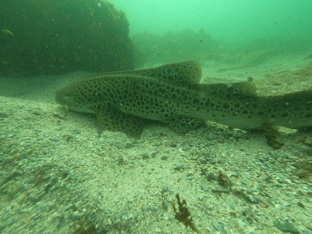 1d109c53-136c-4040-8388-da9b6105b299