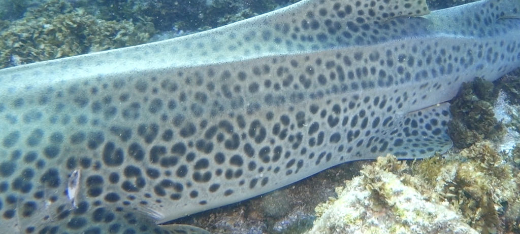 96d42ae0-070c-4441-9aa6-2c2a3b5422b9