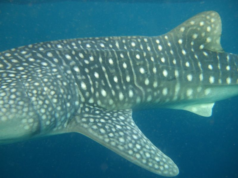 2547a662-908f-48c3-8760-68a2e5003ac2