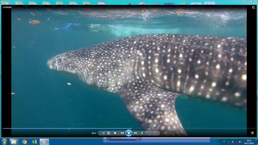 021ef77d-9c23-4202-be7f-863bee294dc0