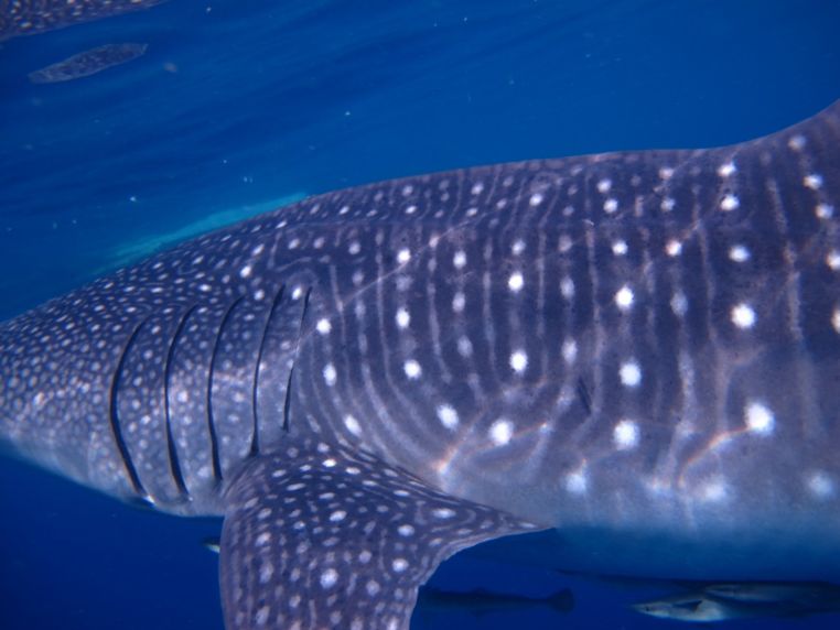 d49998b7-f479-4b2a-a396-f6b83e2fecd7