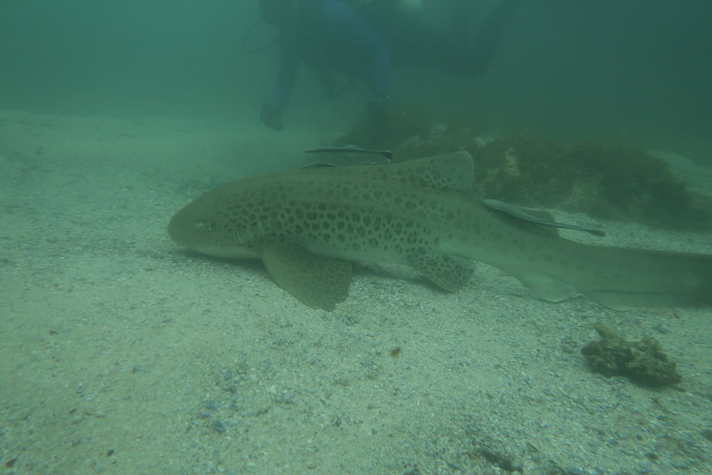 1812cc49-c89c-4d2a-a262-8b94ebd90ab4