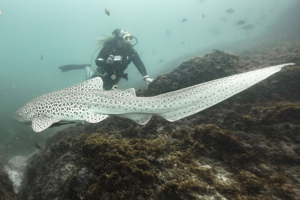 b86a70f1-167d-4770-9c53-54c46d619b00