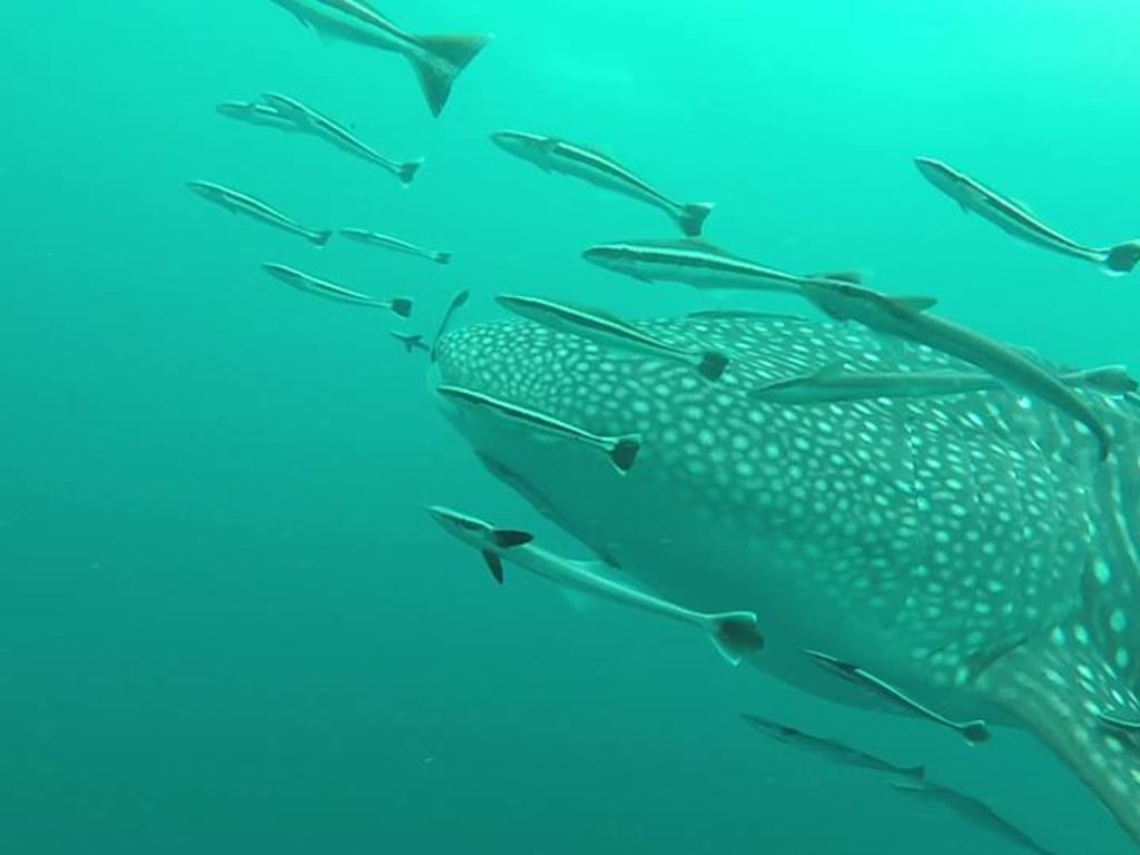 a8258389-39cc-4d35-8382-c79494e9c971