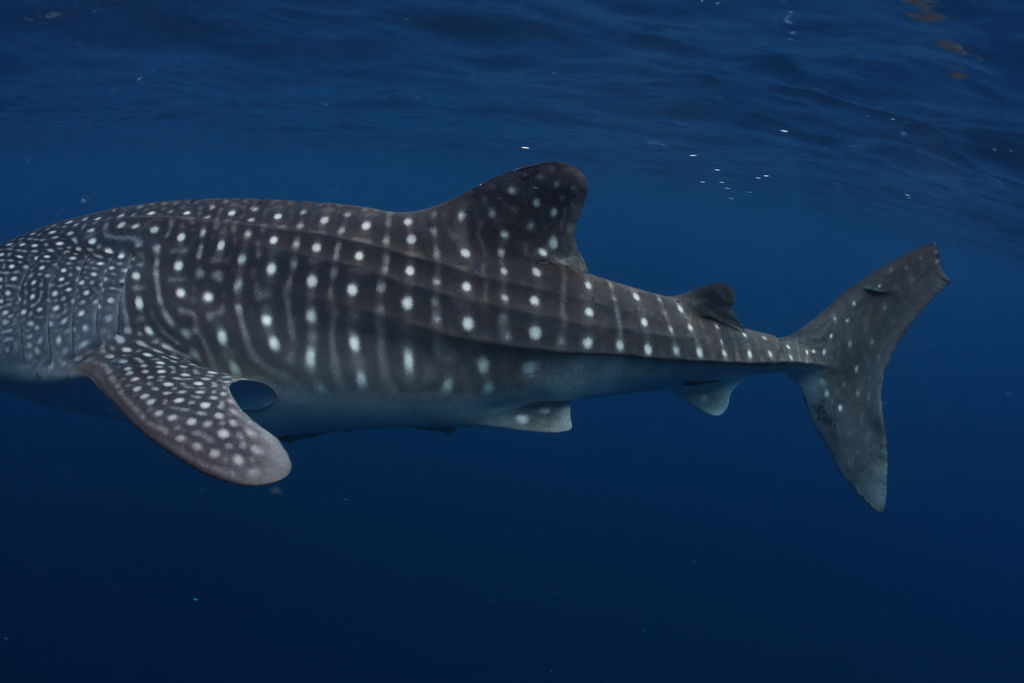 c6e85104-6d8f-4ce3-af4c-fbeeebe14664