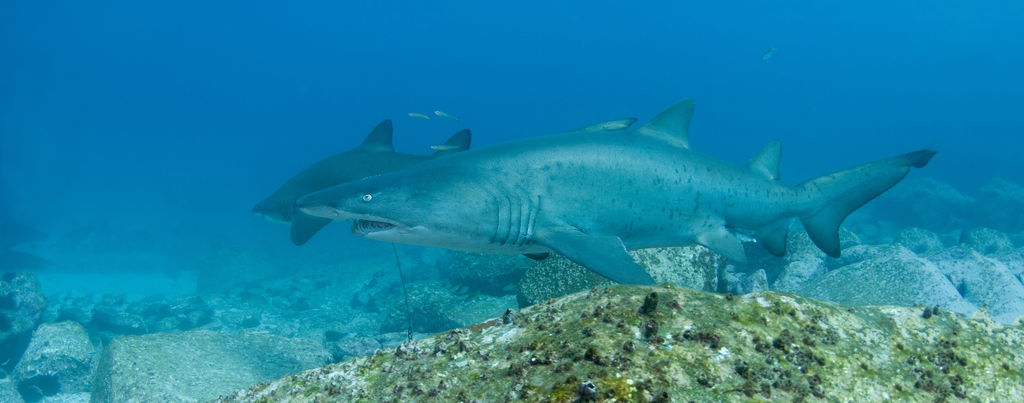 f166419e-3c8b-4d87-a503-5f2085f6c79a