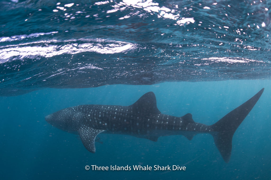 10fd1617-99db-4d24-97ee-7b6128ba52bb