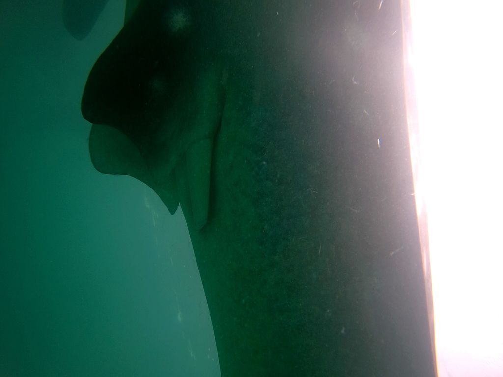 ecefbdeb-b946-4a30-8162-a766c7bf4675