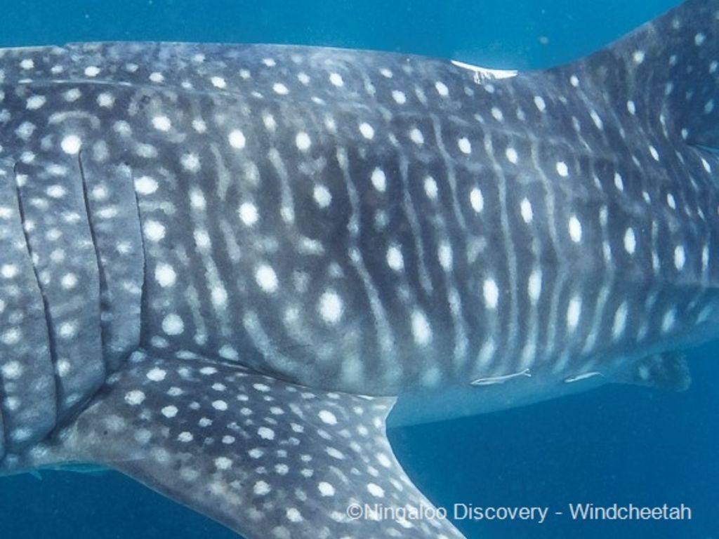 01e40dc2-fe9d-494f-93fe-ecc9c5cb4a17