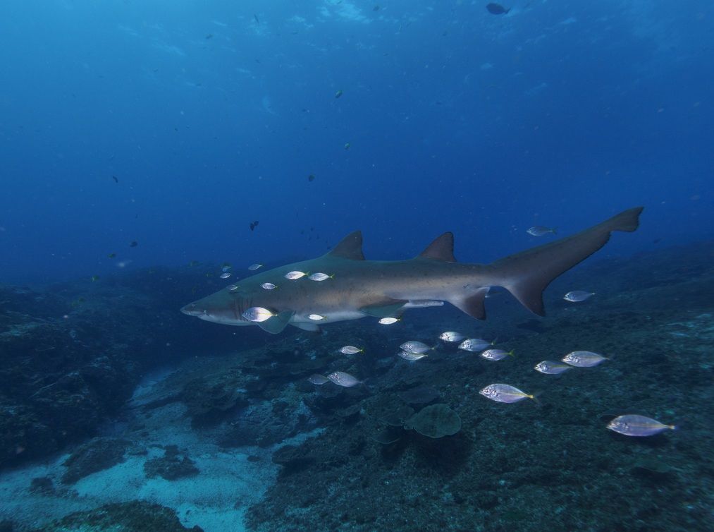 d9d8e8a1-c88d-4114-88ea-e7faefa1a2fb