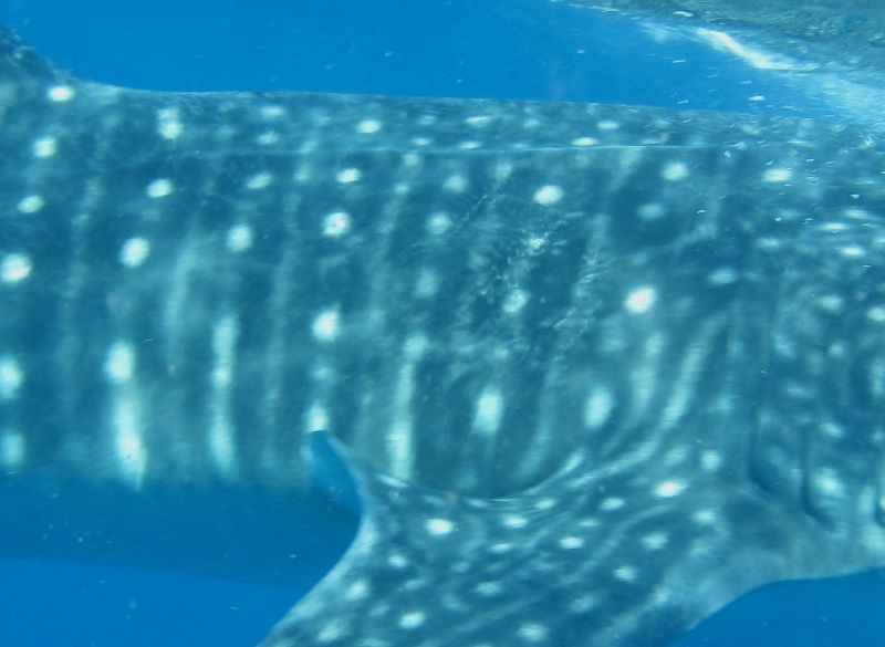 fbe2ebcd-5143-4f42-a698-826ae501804a