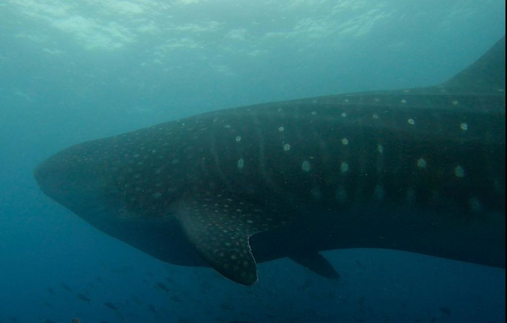 10c45a4b-803f-4853-90db-ca180e464f1d