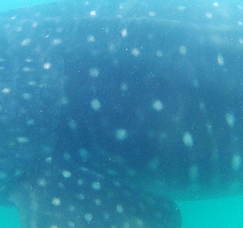 45402119-be42-4d73-a0fa-e35b38f7e75e