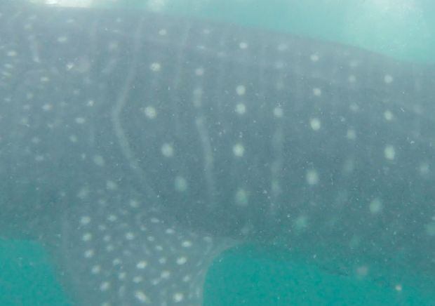 e801a453-6166-4059-b0d1-c34d3bab26a0