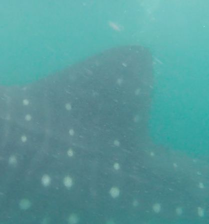 e801a453-6166-4059-b0d1-c34d3bab26a0