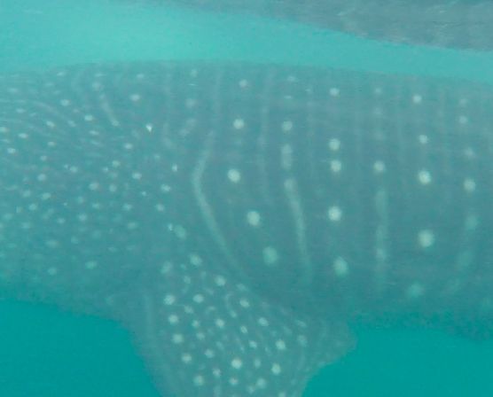 e801a453-6166-4059-b0d1-c34d3bab26a0