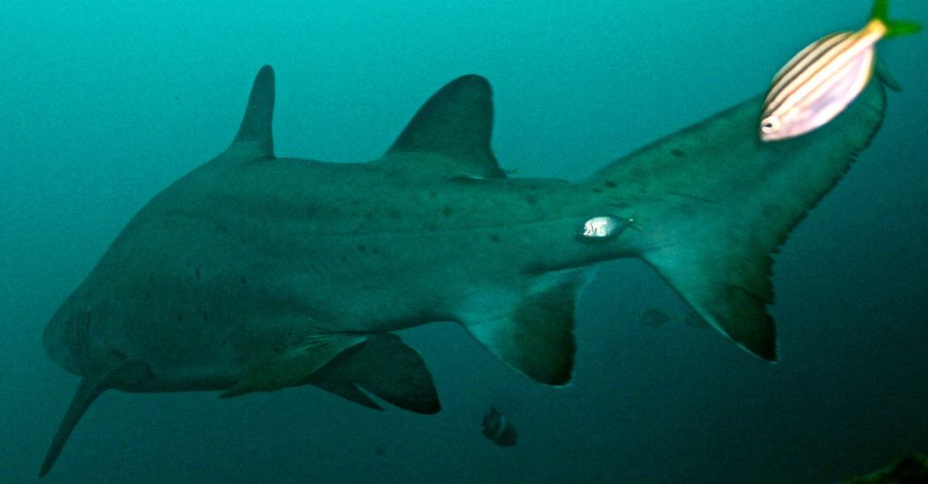 ab53149f-cba2-48af-b804-9e720b9148be