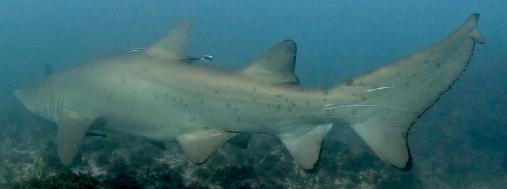 9459f507-926f-46f4-82d4-23887edf2f9a