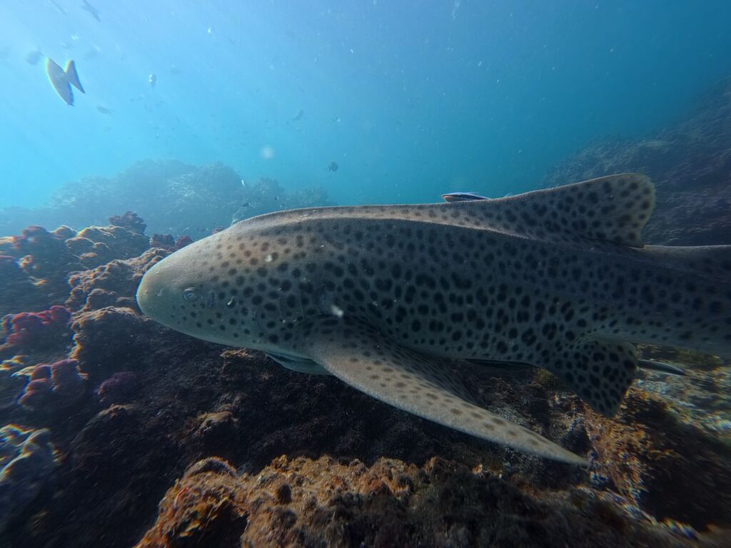 b68e8e5a-b368-40a0-939f-8f079c315aa0