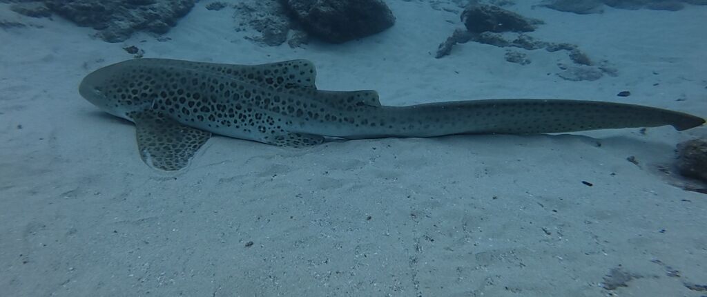 319f0e16-430b-46de-b8dd-db2b02ddfa21