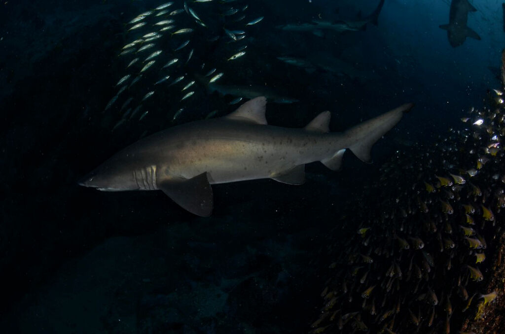 713bcc07-ca2f-493d-9829-a40e850a803d