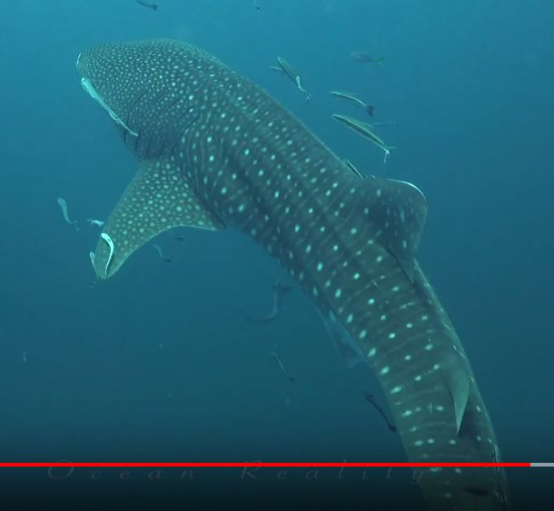 c6f7b951-5b45-4a34-bc5e-46a100213bc3