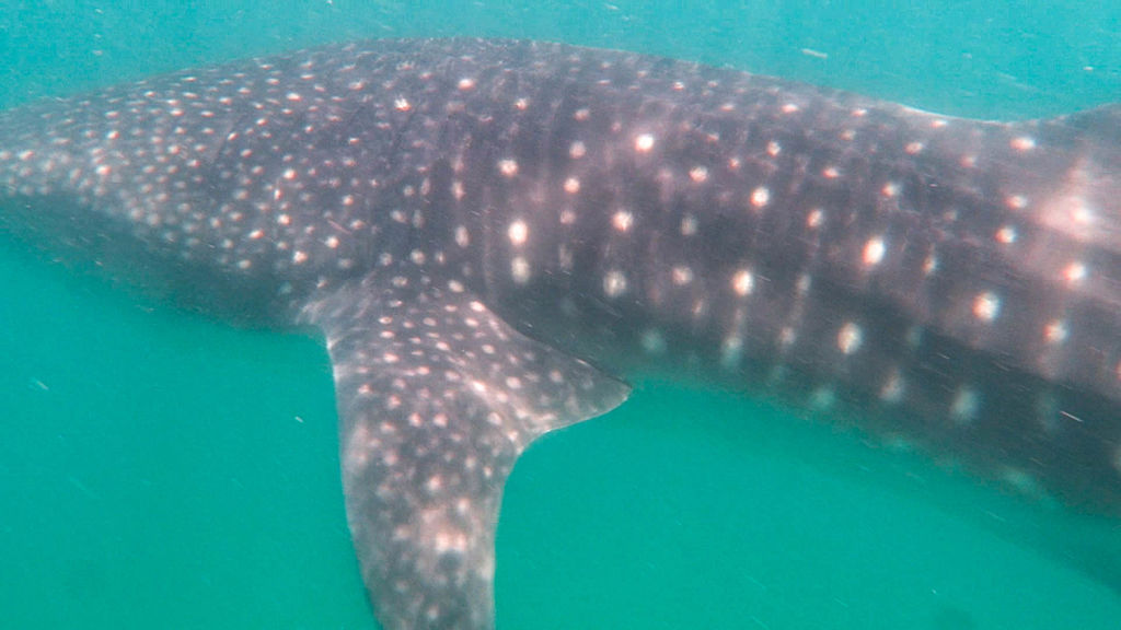 5d572340-7f69-49fb-bc4f-eb66ccf7da5f