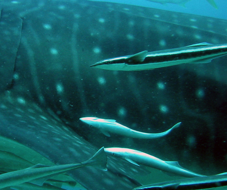 b186b4a7-2a86-4a5c-abe5-b7314bf0989c