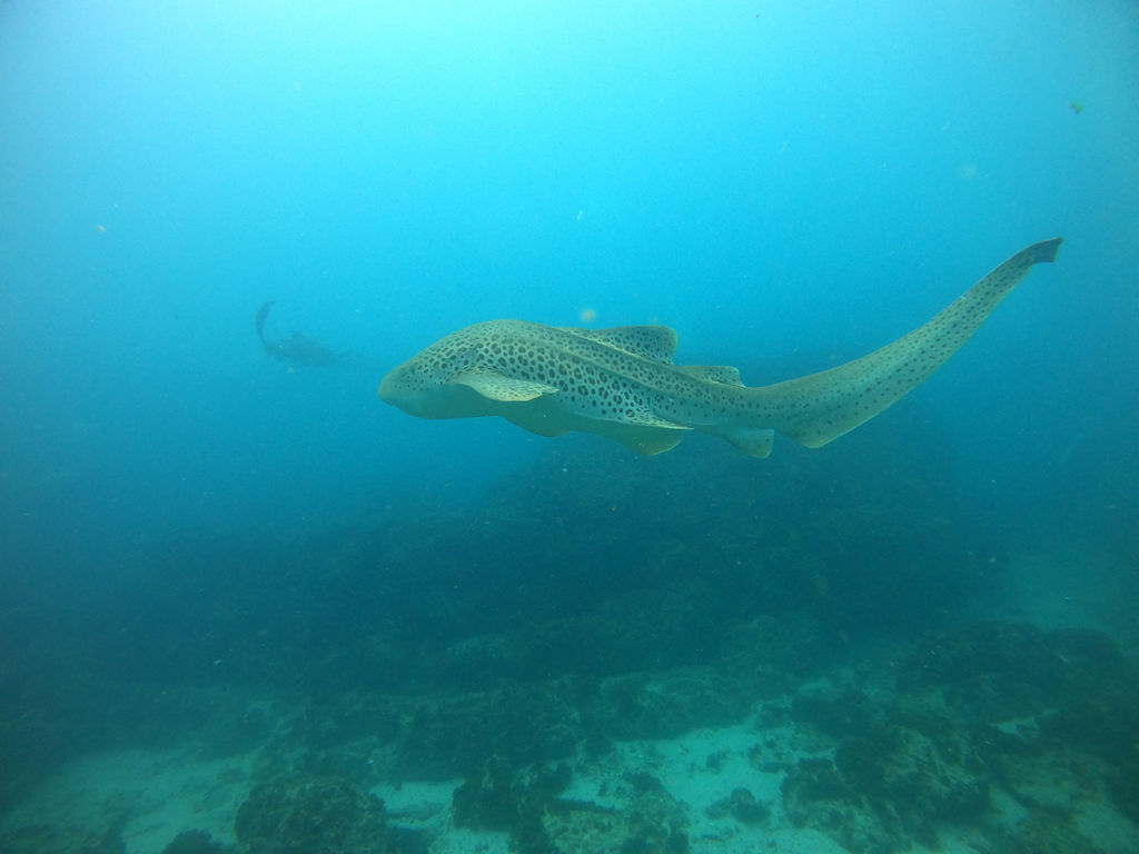 f019d730-e8b3-4040-965c-317fbd5d0860