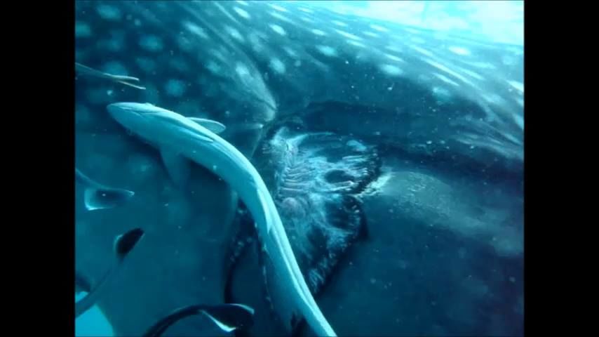 d5e78f01-d6f9-456b-ac1a-f0bb8cd2e850