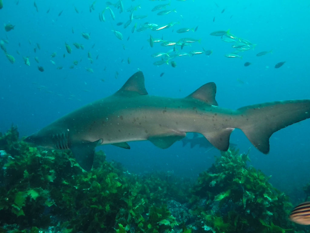 7cbef2a9-1c44-4afb-9da0-9b073060ce2a