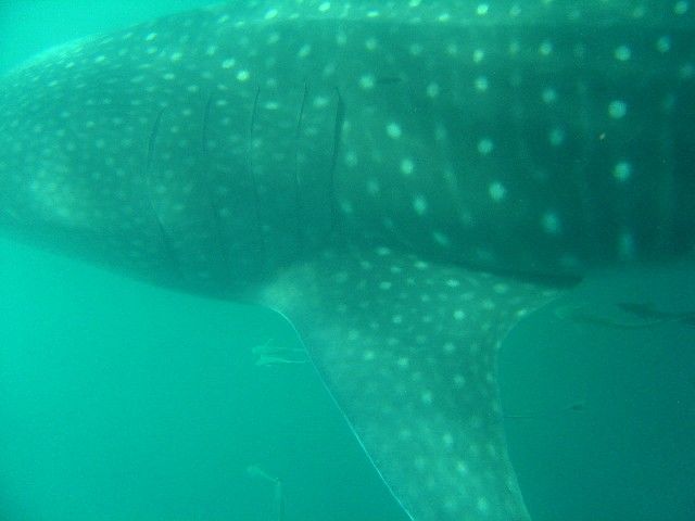 731bb969-1a7d-4815-a7ee-6d2cbf1f601a