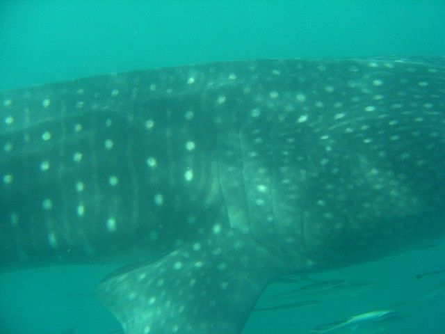 731bb969-1a7d-4815-a7ee-6d2cbf1f601a