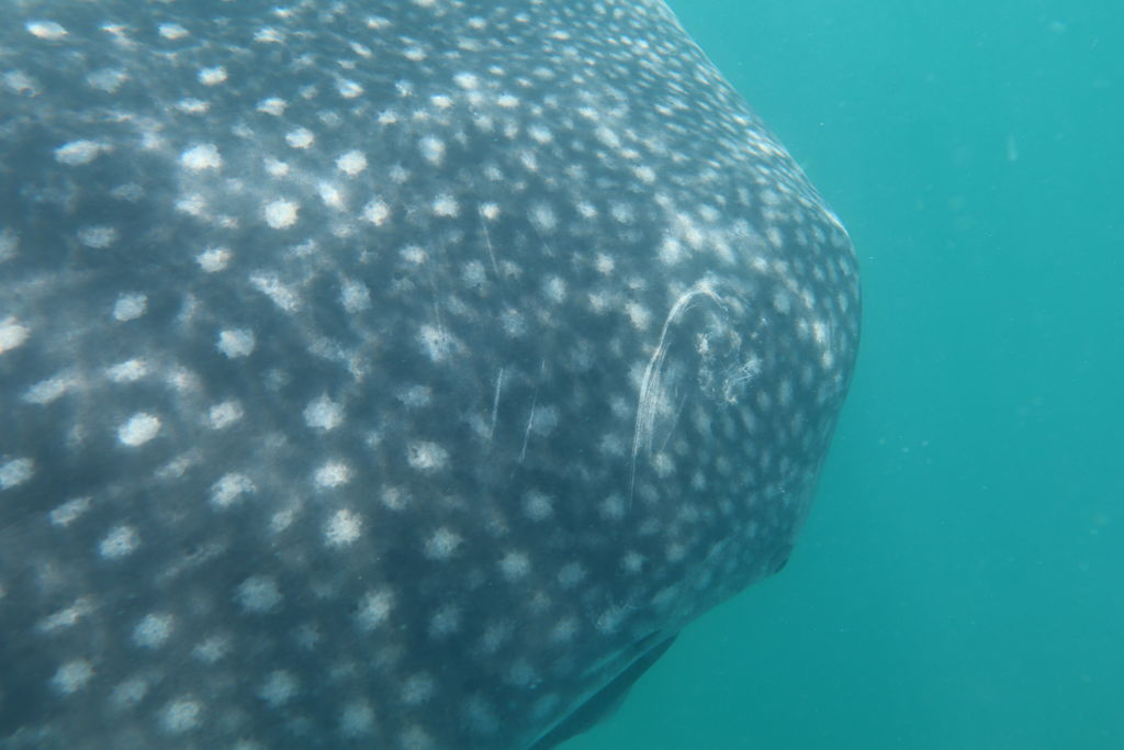 d3d776b9-703a-4f4f-b785-cc2209f714ed