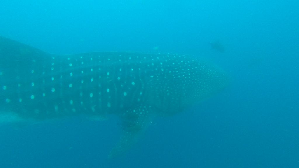 41c548f0-2239-4fb5-8bc5-7a42540fba5b