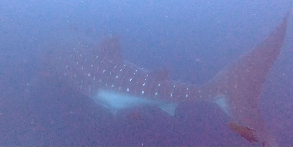 41c548f0-2239-4fb5-8bc5-7a42540fba5b