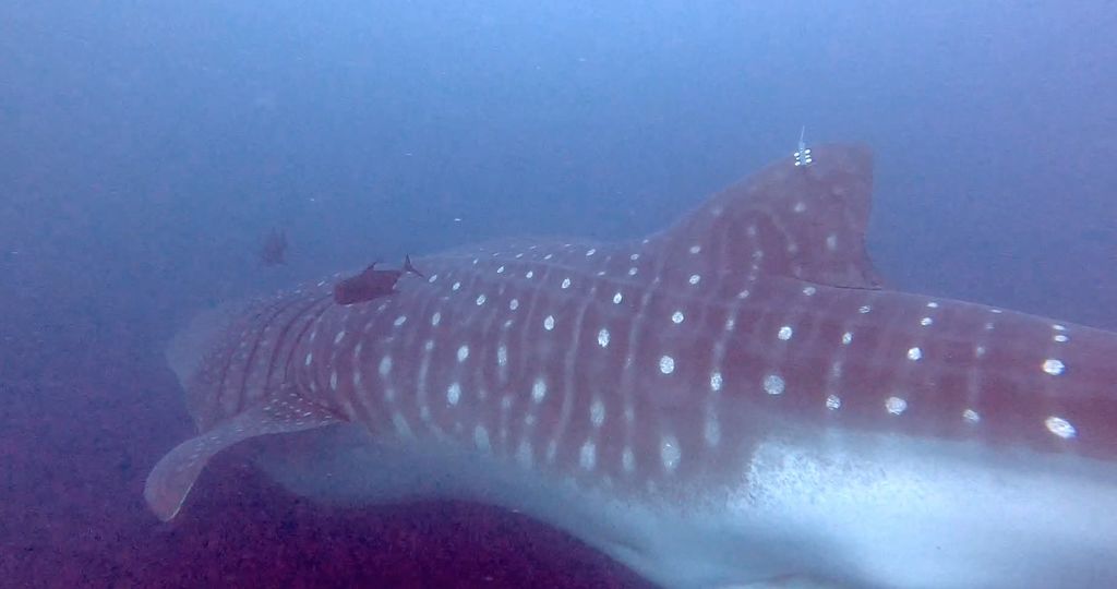 41c548f0-2239-4fb5-8bc5-7a42540fba5b