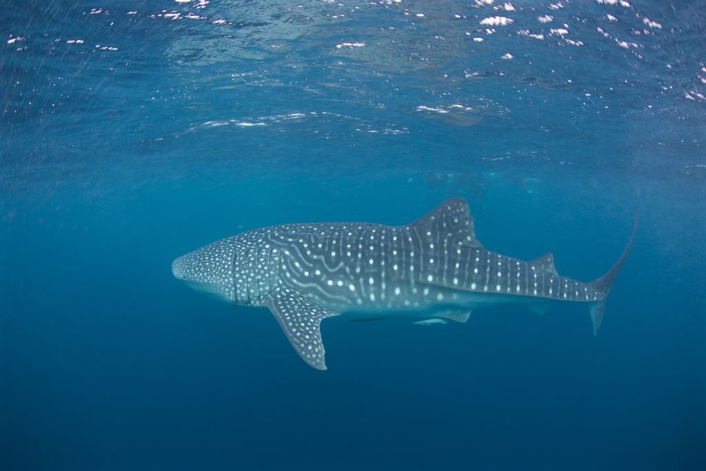 4481c4a8-c404-4578-a7ac-ff1d79fe9988