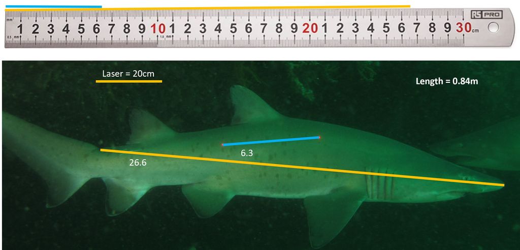 98c8cfdf-c82d-4135-8614-eafdae91e34b