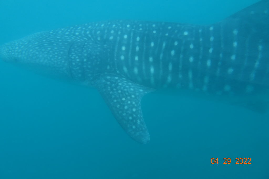 5173c695-5b62-4988-97f4-1f8d2e149721