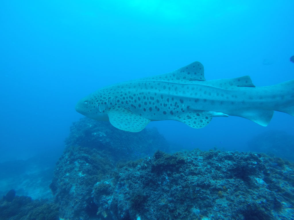 b81a47cb-bd61-4007-a15b-222ea21cd25a