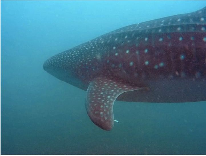 0db8c686-b9b8-4af5-850d-dc05c3fac1ff