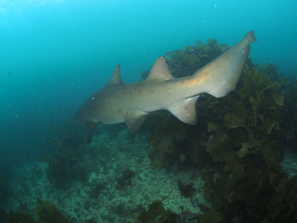 fe091272-f256-4d72-b9dd-54a933a63e78