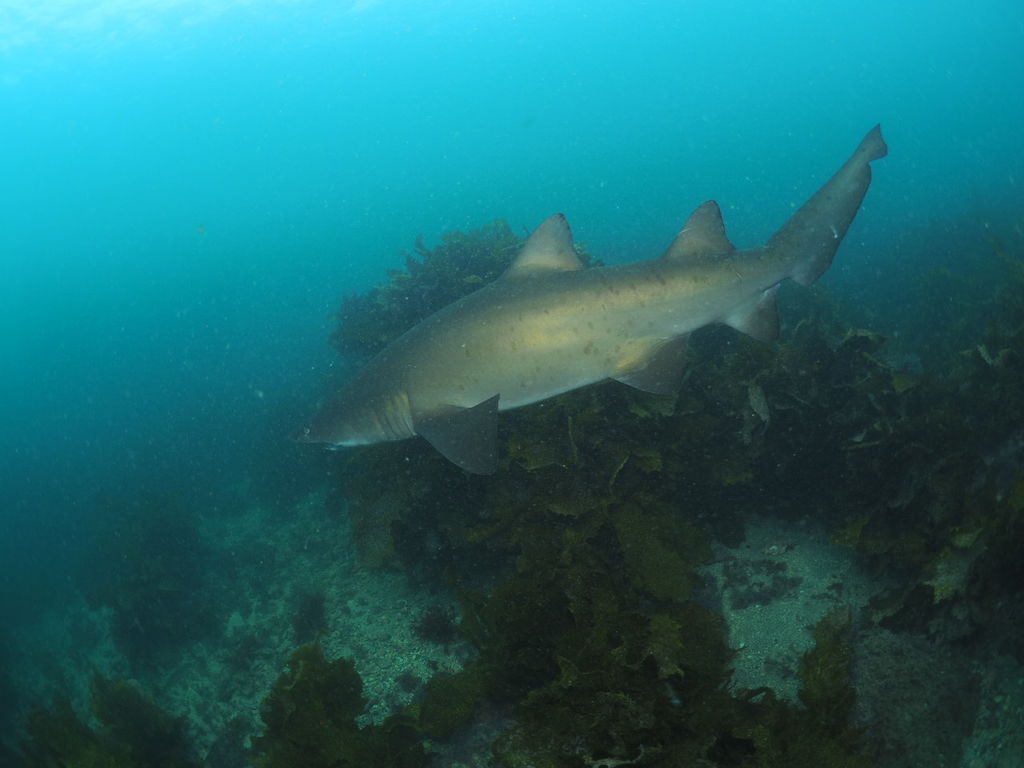 fe091272-f256-4d72-b9dd-54a933a63e78