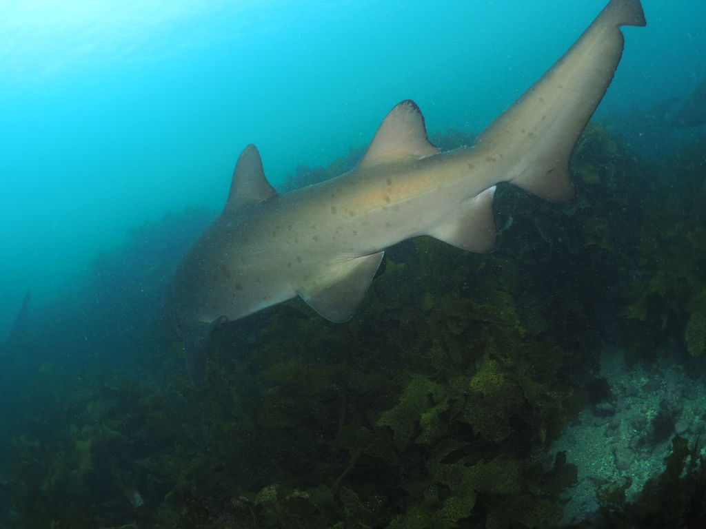 e6dd910f-264e-43b6-87f3-73196477e17f