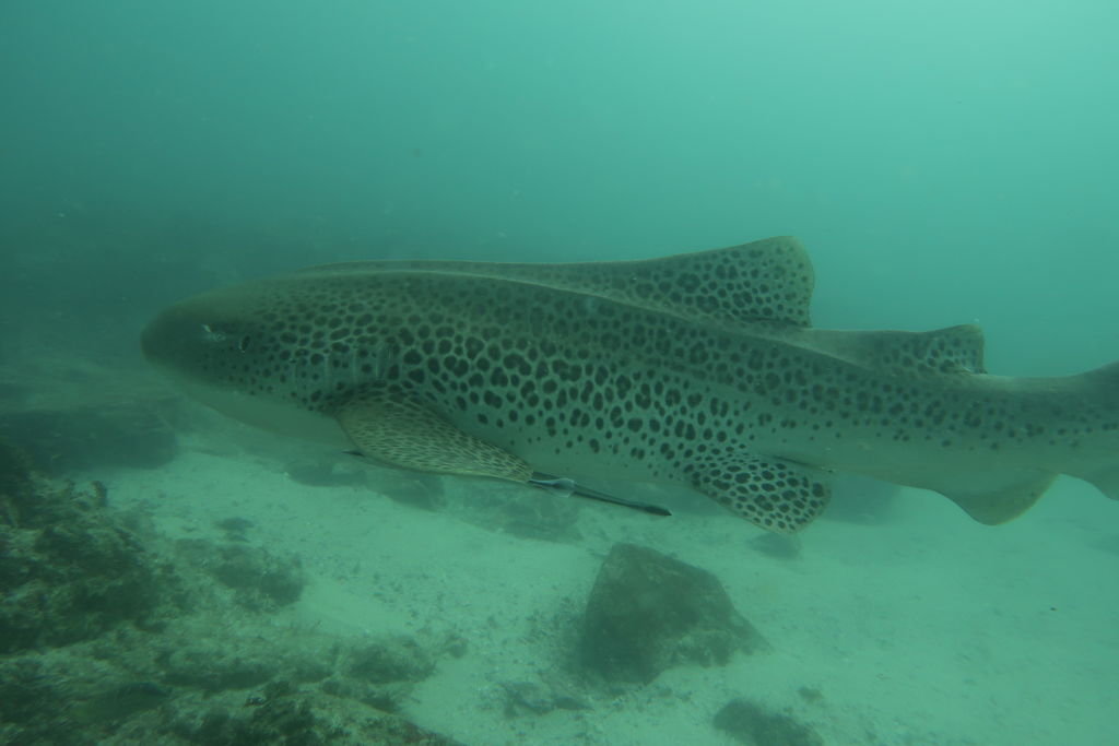 e42ffd1f-b25f-4f48-9209-b5b5a3ef7f56